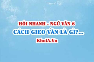 Gieo vần là gì? ngắt nhịp là gì? Thanh điệu là gì? Ngữ Văn lớp 6